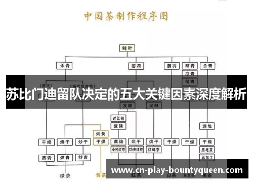 苏比门迪留队决定的五大关键因素深度解析